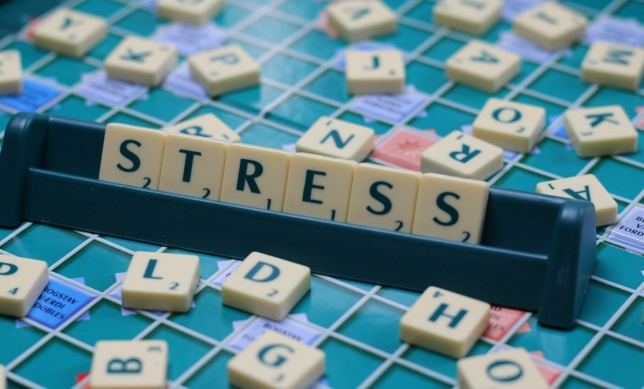 The stress study that launched evimeria